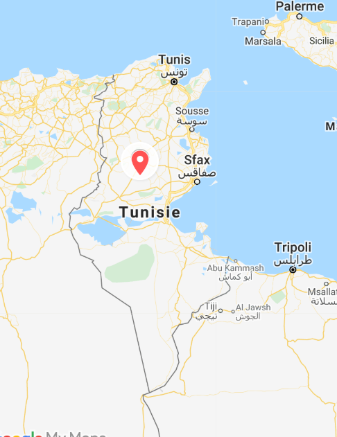 carte tunisie saradaniel